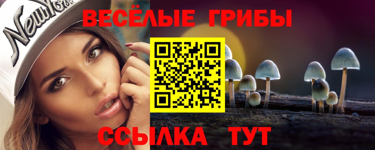 Галлюциногенные грибы GOLDEN TEACHER  Галлюциногенные грибы прущие грибы  Азов  Вход с VPN 